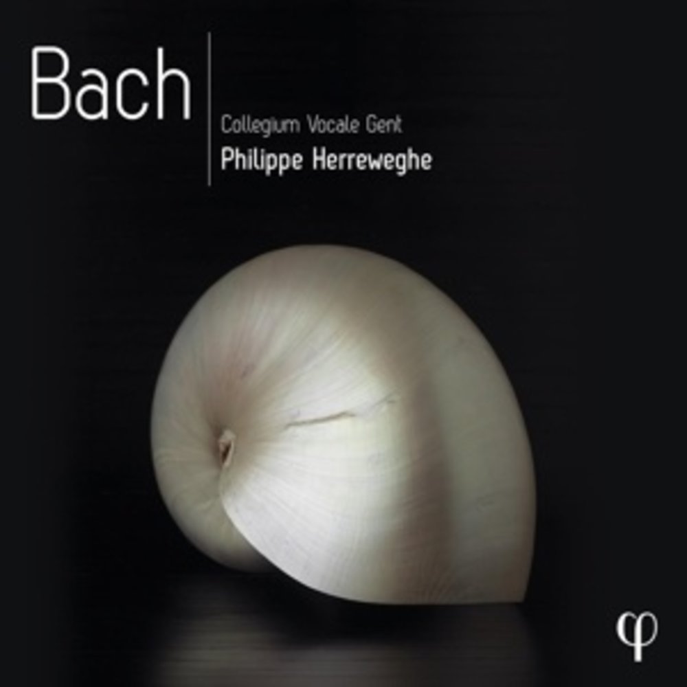 Phi COLLEGIUM VOCALE GENT: BACH (10CD)