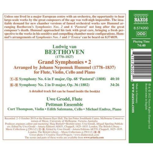 Naxos BEETHOVEN: GRAND SYMPHONIES, VOL. 2 - SYMPHONIES NOS. 2 AND 6