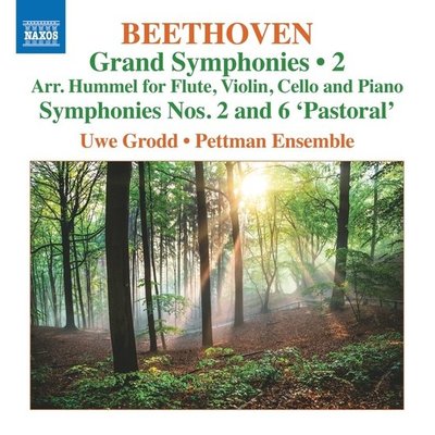 BEETHOVEN: GRAND SYMPHONIES, VOL. 2 - SYMPHONIES NOS. 2 AND 6