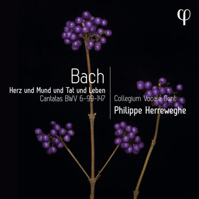J.S. BACH: HERZ UND MUND UND TAT UND LEBEN - CANTATAS BWV 6-9-147