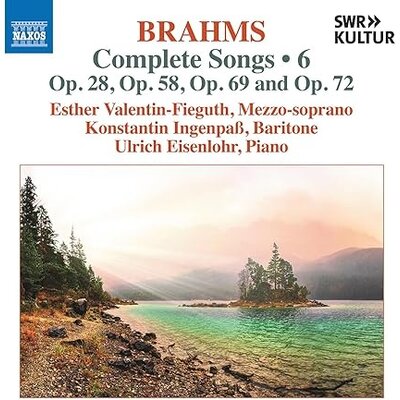 BRHAMS: COMPLETE SONGS, VOL. 6