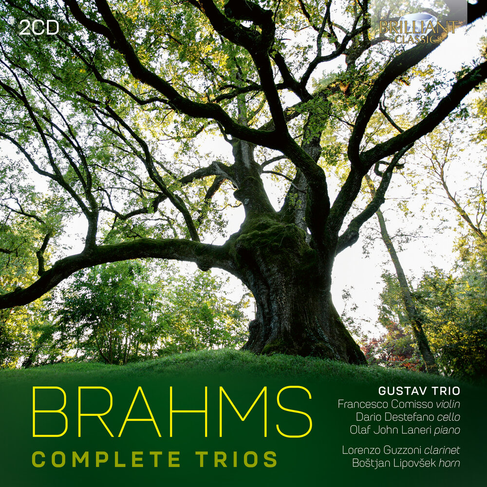 Brilliant Classics BRAHMS: COPMLETE TRIOS (2CD)