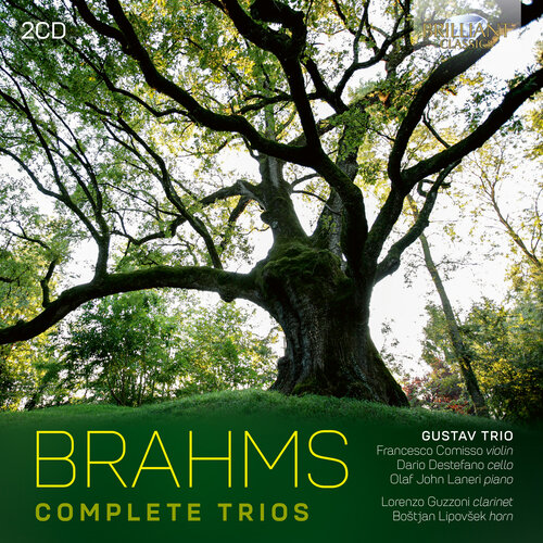 Brilliant Classics BRAHMS: COPMLETE TRIOS (2CD)