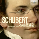 Brilliant Classics SCHUBERT: CHAMBER MUSIC (13CD)