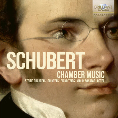 SCHUBERT: CHAMBER MUSIC (BUDGET) (13CD)