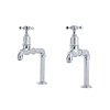 Perrin & Rowe Traditional Kitchen pillar tap Mayan E.4338