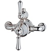 Perrin & Rowe Georgian Georgian Exposed shower thermo with top return elbow 5751/5397