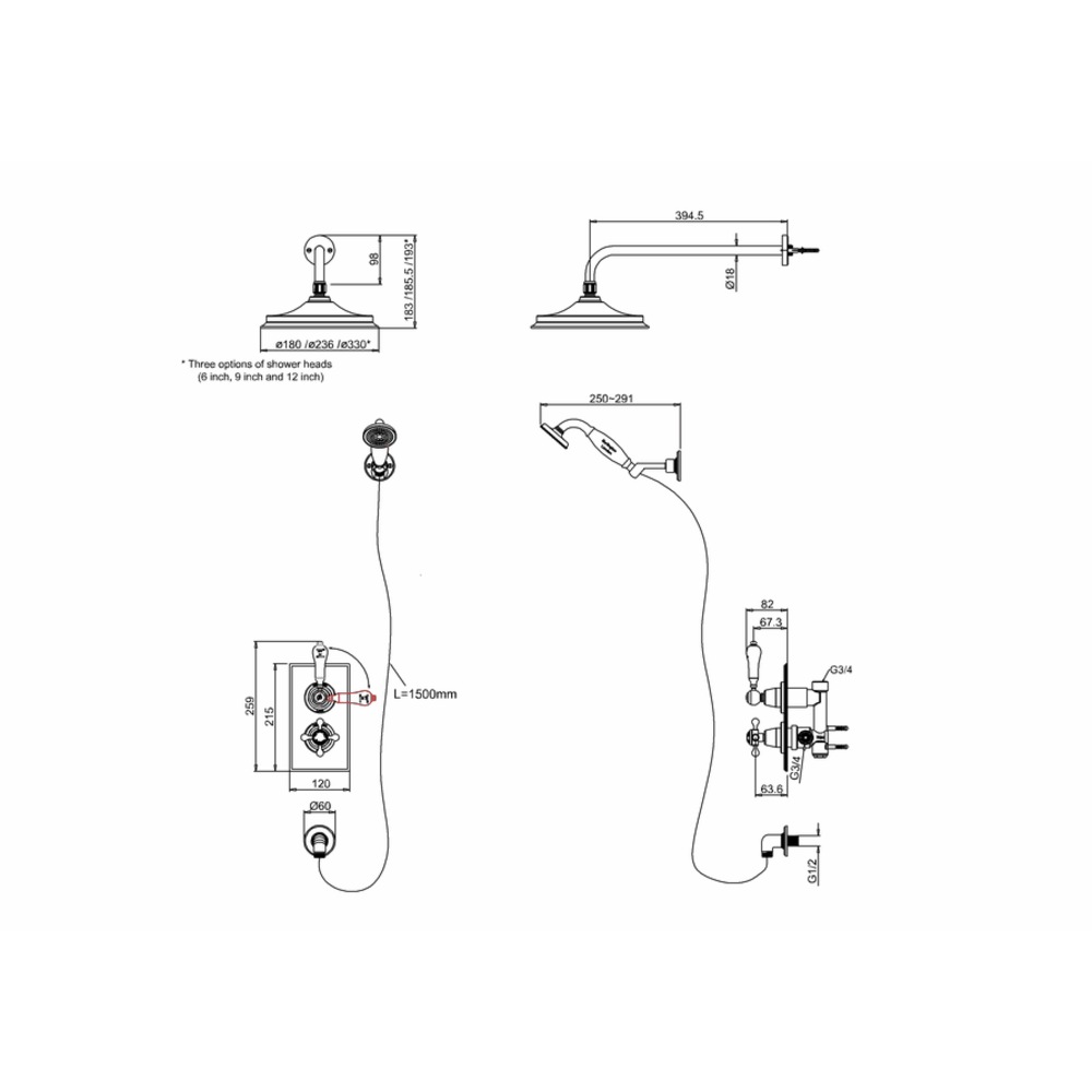 BB Edwardian Black Trent Black Concealed thermostatic shower valve with shower rose and  hand shower