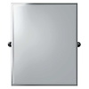 Imperial Imperial Rectangular Mirror Tristan