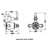 Belgravia Belgravia Aufputz Duschthermostat mit 8" Duschkopf und Handdusche BEL_SLIDER