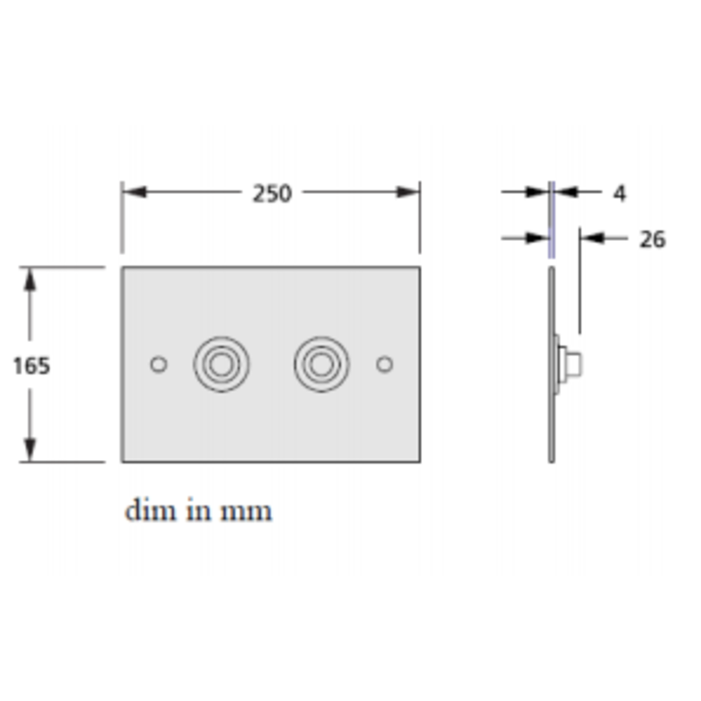 Aquadomo AQ Dual Flush plate for concealed cistern