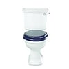 Imperial Bergier Close coupled toilet with cistern - p-trap