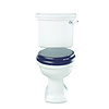 Bergier Stand-WC mit Spülkasten - Wandauslass Imperial Bergier Stand-WC mit Spülkasten - Wandauslass