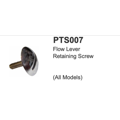 LB flow lever retaining screw PTS007