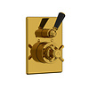Lefroy Brooks 1900 Classic Black LB1900 Classic Black Archipelago thermostatic shower valve BL-8706