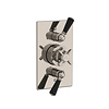 Lefroy Brooks 1900 Classic Black LB1900 Classic Black dual control thermostatic shower valve BL-8736