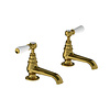 Lefroy Brooks 1900 Classic LB1900 Classic pillar taps WL8030
