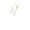 Neptune Gypsophila Twig