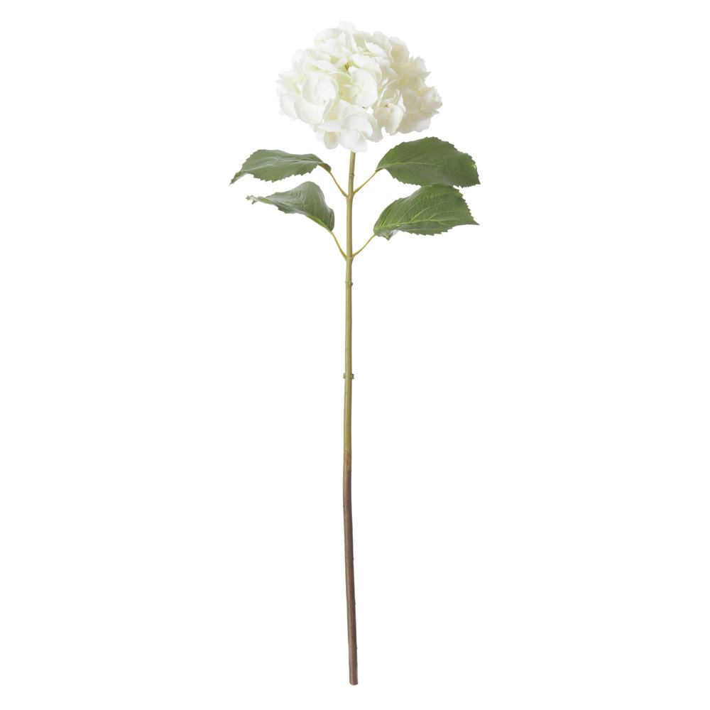 Neptune Hydrangea Stem White