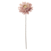 Neptune Dahlia Stem Dusky Pink