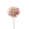 Neptune Dahlia Stem Dusky Pink