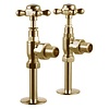 Burlington Traditional radiator valves R6