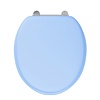 BB Edwardian Bespoke Soft close Enchanted Blue  toilet seat