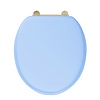 BB Edwardian Bespoke Soft close Enchanted Blue  toilet seat