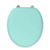 BB Edwardian Bespoke Soft close Cosmic Green  toilet seat