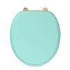 BB Edwardian Bespoke Soft close Cosmic Green  toilet seat