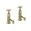 BB Guild Guild pillar taps (pair) with short spout