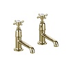 BB Guild Guild pillar taps (pair) with long spout