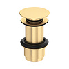 Perrin & Rowe P&R basin push waste 6806