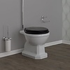 BP 900 hooghang toilet met reservoir Bleu Provence SOHO BP 900 hooghang toilet met reservoir