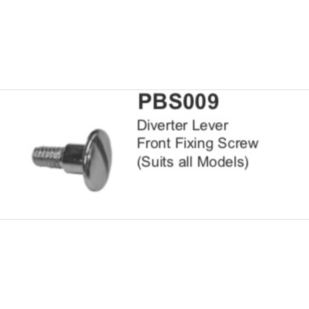 Lefroy Brooks LB Diverter lever front fixing screw PBS009
