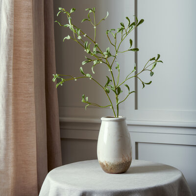 Mistletoe Twig