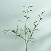 Olive Branch Neptune Olive Branch