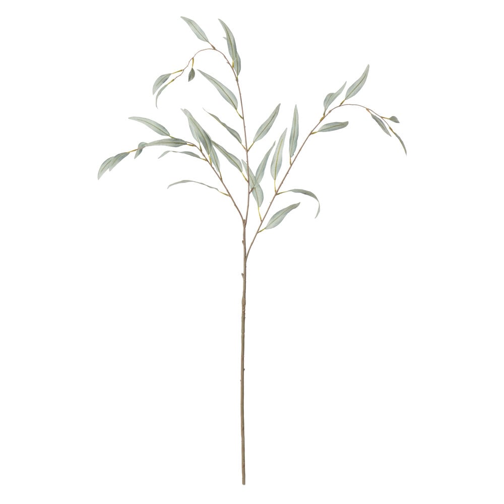 Neptune Olive Branch