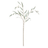 Olive Branch Neptune Olive Branch