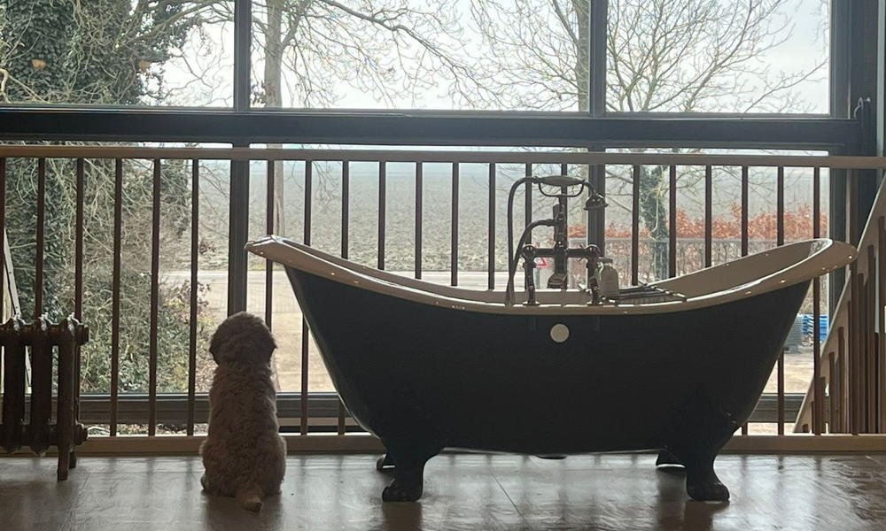 Showroom Weteringbrug