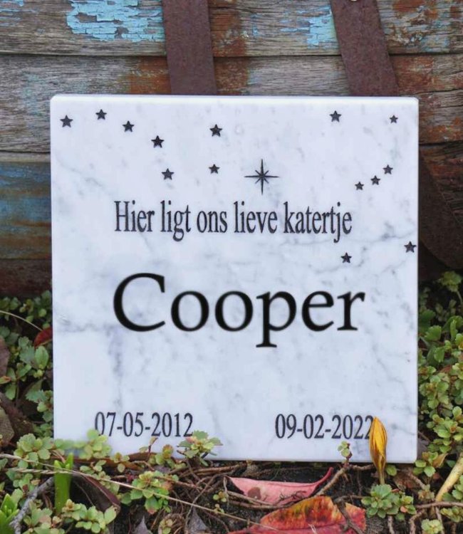 Memorial Stone with Stars for Dog or Cat in Bianco Carrara Marble