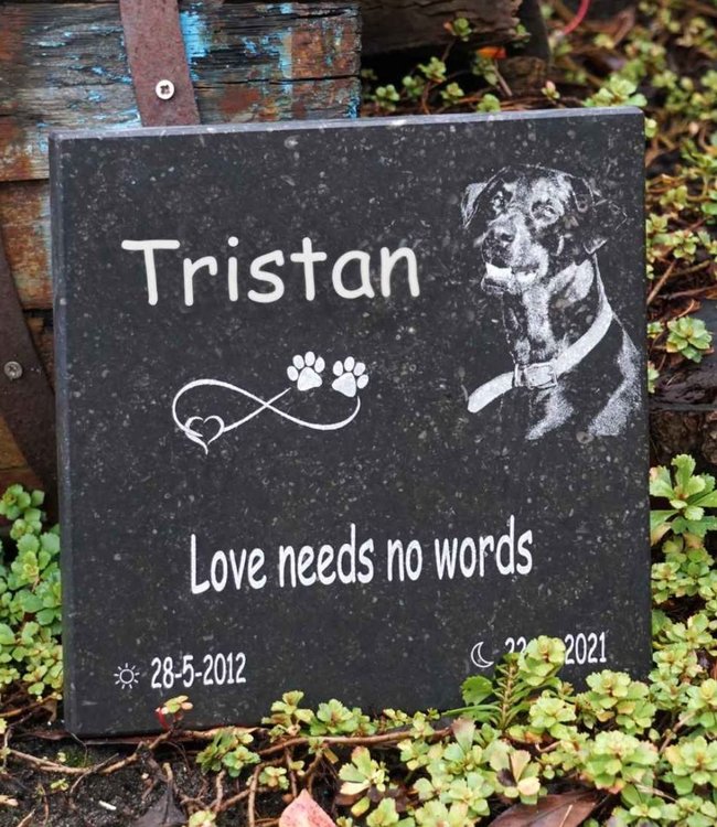 Gedenksteen met fotogravure van huisdier