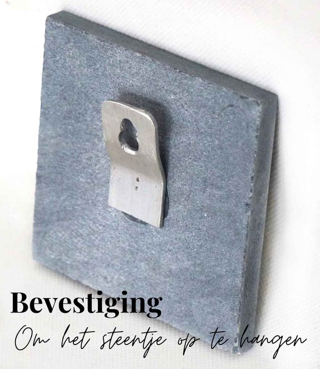 Marmeren gedenksteen voor hond of kat met infinity teken