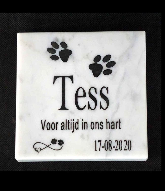 Gedenksteen met dierenpootjes voor hond of kat van Bianco Carrara marmer