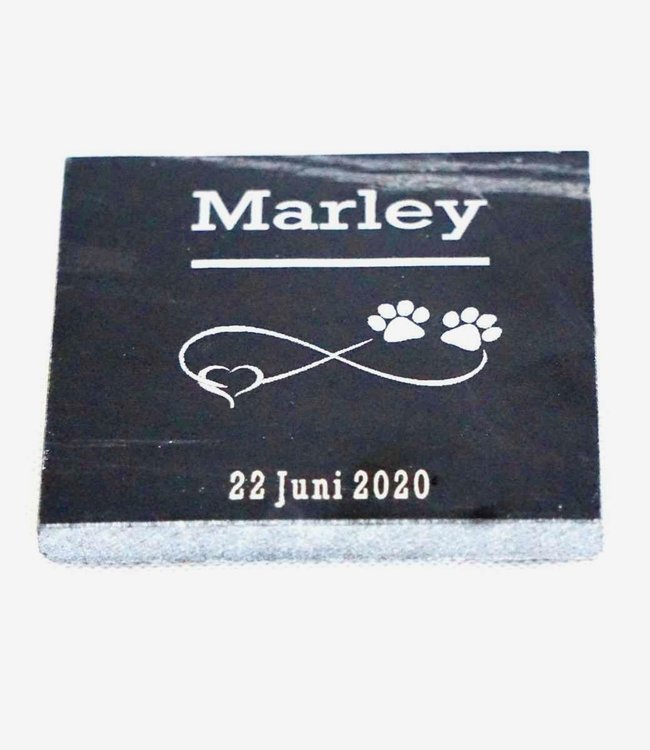 Marmeren gedenksteen voor hond of kat met infinity teken