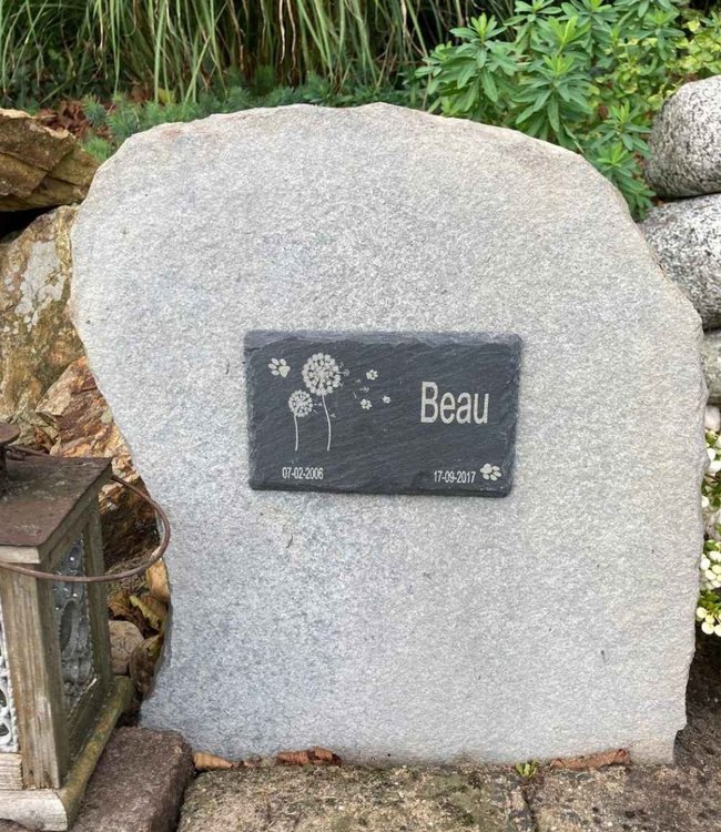 Leistenen Gedenksteen met Paardenbloemen voor Overleden Huisdier