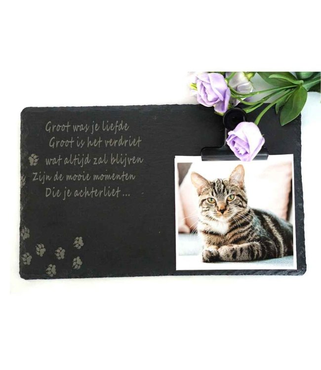 Leistenen Gedenksteen met Foto voor Hond of Kat