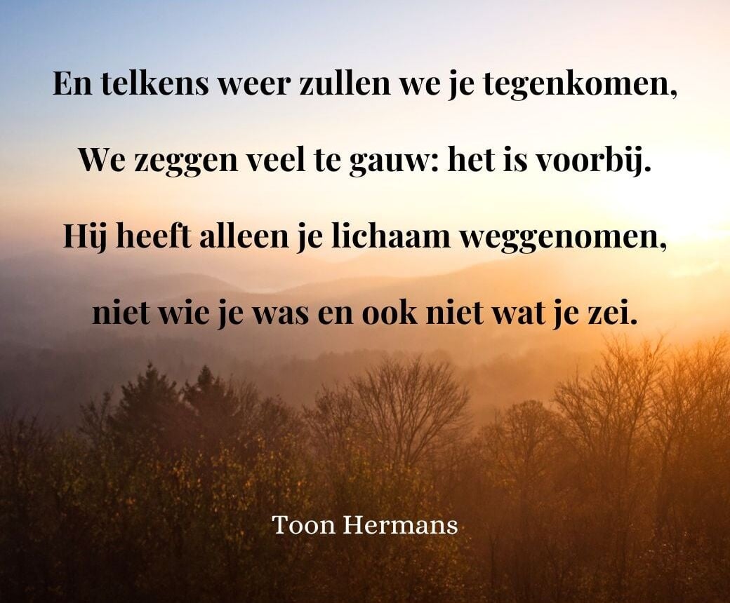 toon hermans gedicht rouw