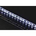 LED Autolamps  LED Interieurverlichting flexibele strip 61cm.  12v koud wit