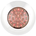LED Autolamps  LED interieurverlichting wit  12v. Rood licht